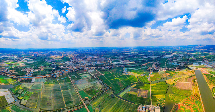 現(xiàn)代農(nóng)牧業(yè)